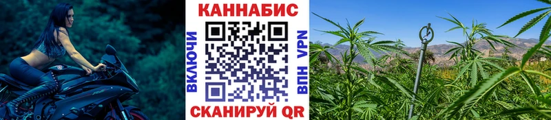 Бошки марихуана THC 21%  цена   Беслан 